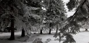 ABANT BEYAZ GELİNLİĞİNİ GİYDİ