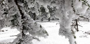 ABANT BEYAZ GELİNLİĞİNİ GİYDİ