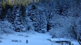 ABANT BEYAZ ÖRTÜYLE KAPLANDI