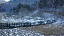 ABANT BEYAZ ÖRTÜYLE KAPLANDI