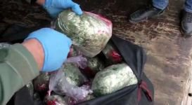 BOLU NARKOTİK İŞ BAŞINDA...