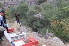 BOLU'DA 650 KEKLİĞE KRİTİK GÖREV