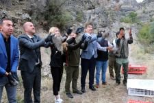 BOLU'DA 650 KEKLİĞE KRİTİK GÖREV