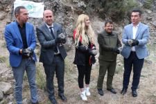 BOLU'DA 650 KEKLİĞE KRİTİK GÖREV