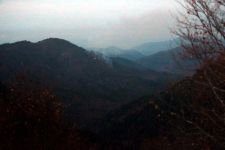 BOLU’DA KORKUTAN YANGIN