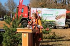 BOLU’DA ORMAN SEFERBERLİĞİ