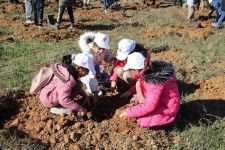 BOLU’DA ORMAN SEFERBERLİĞİ