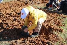 BOLU’DA ORMAN SEFERBERLİĞİ