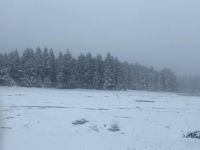 BOLU'NUN DAĞLARI BEYAZ ÖRTÜYLE SÜSLENDİ