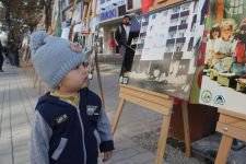 BÜYÜK ACININ YILDÖNÜMÜ