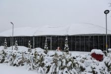 BUZ PATENİ PİSTİ AÇILIYOR