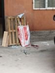 ÇATIDAN DÜŞEREK AĞIR YARALANDI