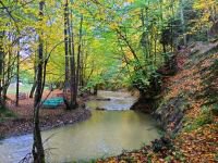 GENÇ TURİZMCİNİN HEDEFİ BOLU'NUN EN ÇOK TERCİH EDİLEN OTELİ OLMAK