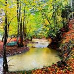GENÇ TURİZMCİNİN HEDEFİ BOLU'NUN EN ÇOK TERCİH EDİLEN OTELİ OLMAK