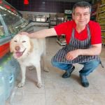 HAYATINI KURTARAN KÖPEK 'CAN DOSTU' OLDU