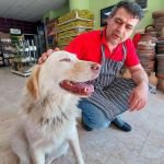 HAYATINI KURTARAN KÖPEK 'CAN DOSTU' OLDU