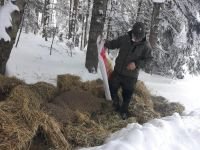 KARLA KAPLU ORMANLARA YEM BIRAKILDI