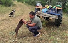 KAYALIKLARDA MAHSUR KALAN KÖPEĞİ KURTARMA OPERASYONU