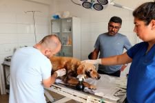 KORKUNÇ VAHŞETE PARA CEZASI