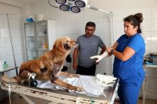 KORKUNÇ VAHŞETE PARA CEZASI