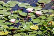 NÜLÜFER KOPARTANA REKOR CEZA