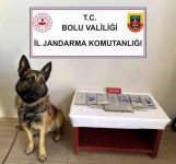 YABANCI UYRUKLU YOLCUYA UYUŞTURUCU OPERASYONU