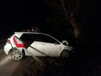 KÖPEĞE ÇARPMAMAK İÇİN YOLDAN ÇIKTI, PARAMPARÇA OLDU: 1 YARALI