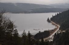 ABANT’TA ÇİĞDEMLER ÇİÇEK AÇTI