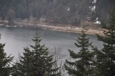 ABANT’TA ÇİĞDEMLER ÇİÇEK AÇTI