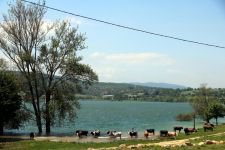 BOLU BU YIL SU SIKINTISI YAŞAMAYACAK...