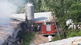 BOLU'DA 3 BİNLİK KÜMESTE YANGIN...