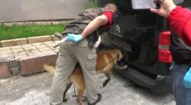 BOLU'DA BİR MİNİBÜS DOLUSU UYUŞTURUCU...