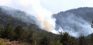 BOLU'DA BİR ORMAN YANGINI DAHA... HELİKOPTERLER SEVK EDİLDİ...