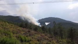 BOLU'DA BİR ORMAN YANGINI DAHA... HELİKOPTERLER SEVK EDİLDİ...