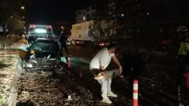 BOLU'DA D-100'DE ORTALIK KARIŞTI... AĞACI GÖVDESİNDEN KOPARTTI...