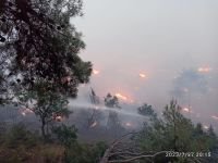 BOLU'DA DÜŞEN YILDIRIM SONUCUNDA ORMAN YANGINI ÇIKTI...