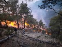 BOLU'DA DÜŞEN YILDIRIM SONUCUNDA ORMAN YANGINI ÇIKTI...