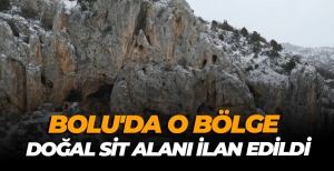 BOLU'DA O BÖLGE DOĞAL SİT ALANI İLAN EDİLDİ