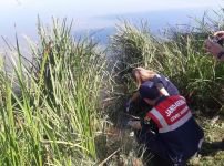 BOLU'DA O YAYLADA ÖLÜ BALIKLAR KIYIYA VURDU... İŞTE ÖLÜMLERİN NEDENİ...