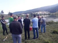 BOLU'DA O YAYLADA ÖLÜ BALIKLAR KIYIYA VURDU... İŞTE ÖLÜMLERİN NEDENİ...