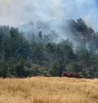 BOLU'DA ORMAN YANGINI...