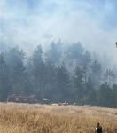 BOLU'DA ORMAN YANGINI...