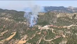 BOLU'DA ORMAN YANGINI... ÇOK SAYIDA EKİP SEVK EDİLDİ...