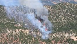 BOLU'DA ORMAN YANGINI... ÇOK SAYIDA EKİP SEVK EDİLDİ...