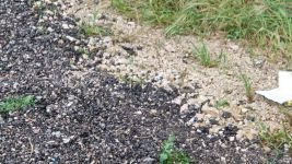 BOLU'DA POLİS MEMURU KENDİNİ VURDU