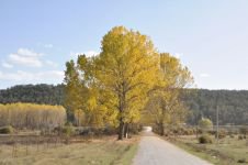 BOLU'DAN MEST EDEN GÖRÜNTÜLER