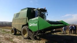 BOLU'NUN YENİ GÖZDESİ " YAĞ  AYÇİÇEĞİ"