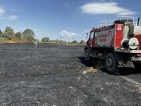 BU YIL ÇOK YORULDULAR...