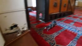 CAMİYE GİREN KEDİ MİNBERİN ARKASINA DÜŞTÜ