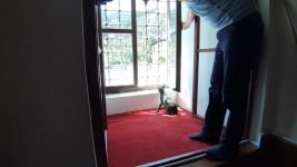 CAMİYE GİREN KEDİ MİNBERİN ARKASINA DÜŞTÜ